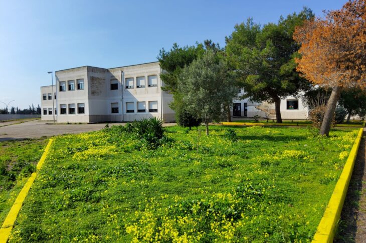 esterno scuola primaria Bozzano